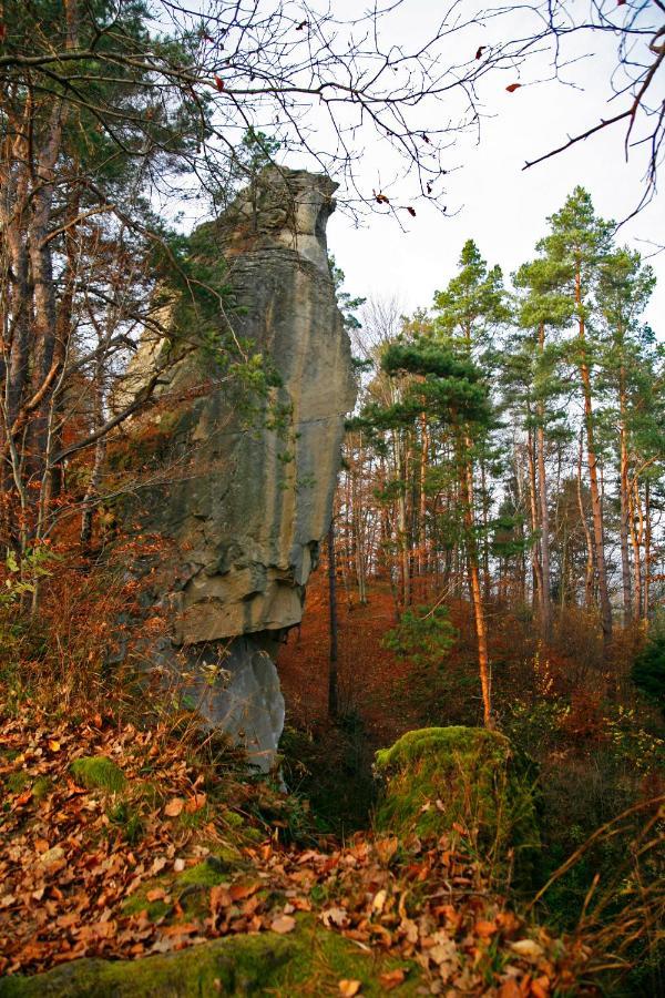 Domek Skowronek Z Basenem Lesko Exteriér fotografie